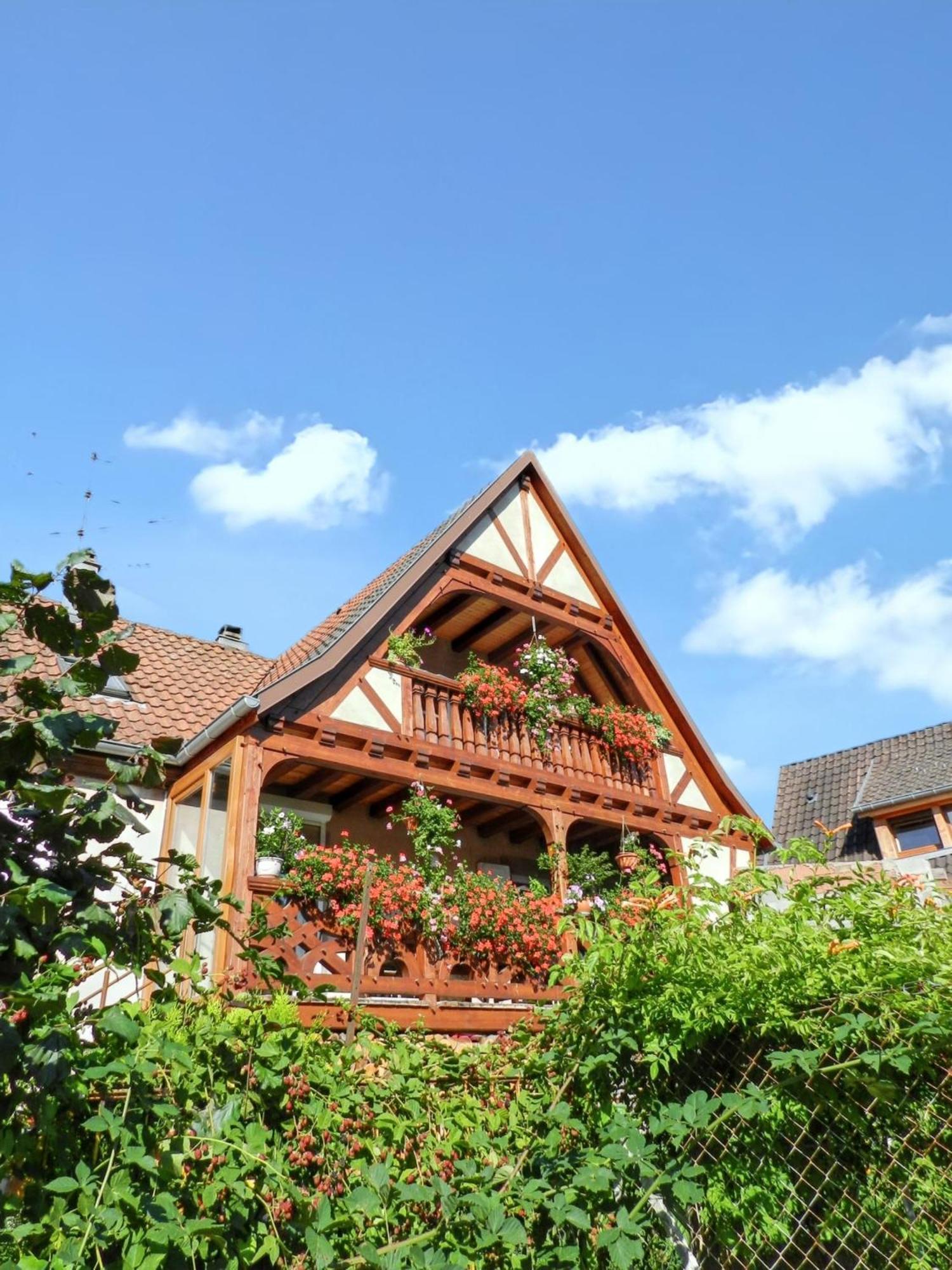 Maison Charmante Avec Vue Sur La Montagne A Triembach-Au-Val Ngoại thất bức ảnh